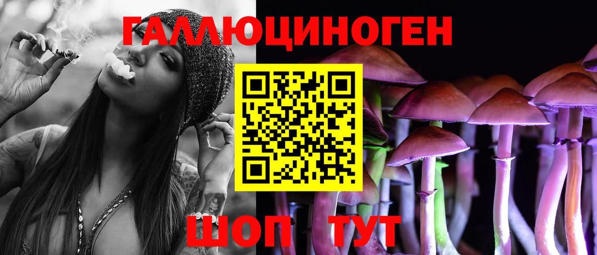 Галлюциногенные грибы Psilocybine cubensis Саянск