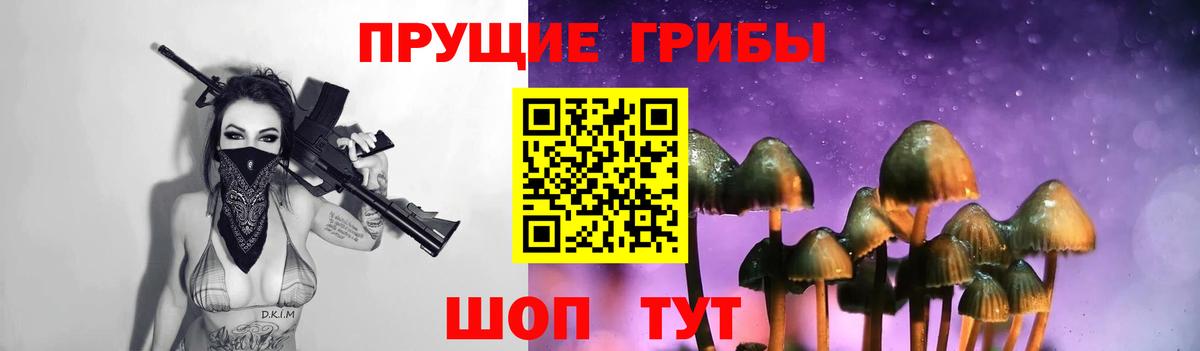 Псилоцибиновые грибы MAGIC MUSHROOMS  Вход с VPN  Галлюциногенные грибы Magic Shrooms  Саянск 